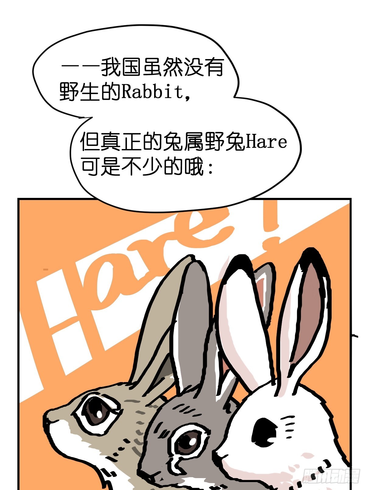 十日谈25：兔年说兔&middot;2(1/2)-第317话
