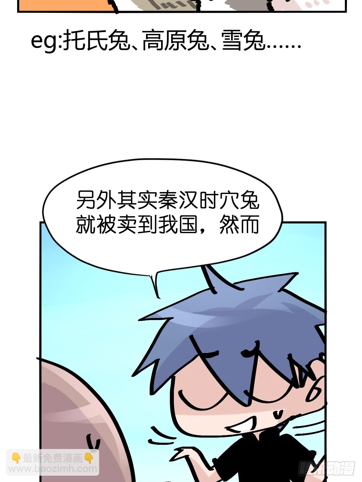 十日谈25：兔年说兔&middot;2(1/2)-第317话