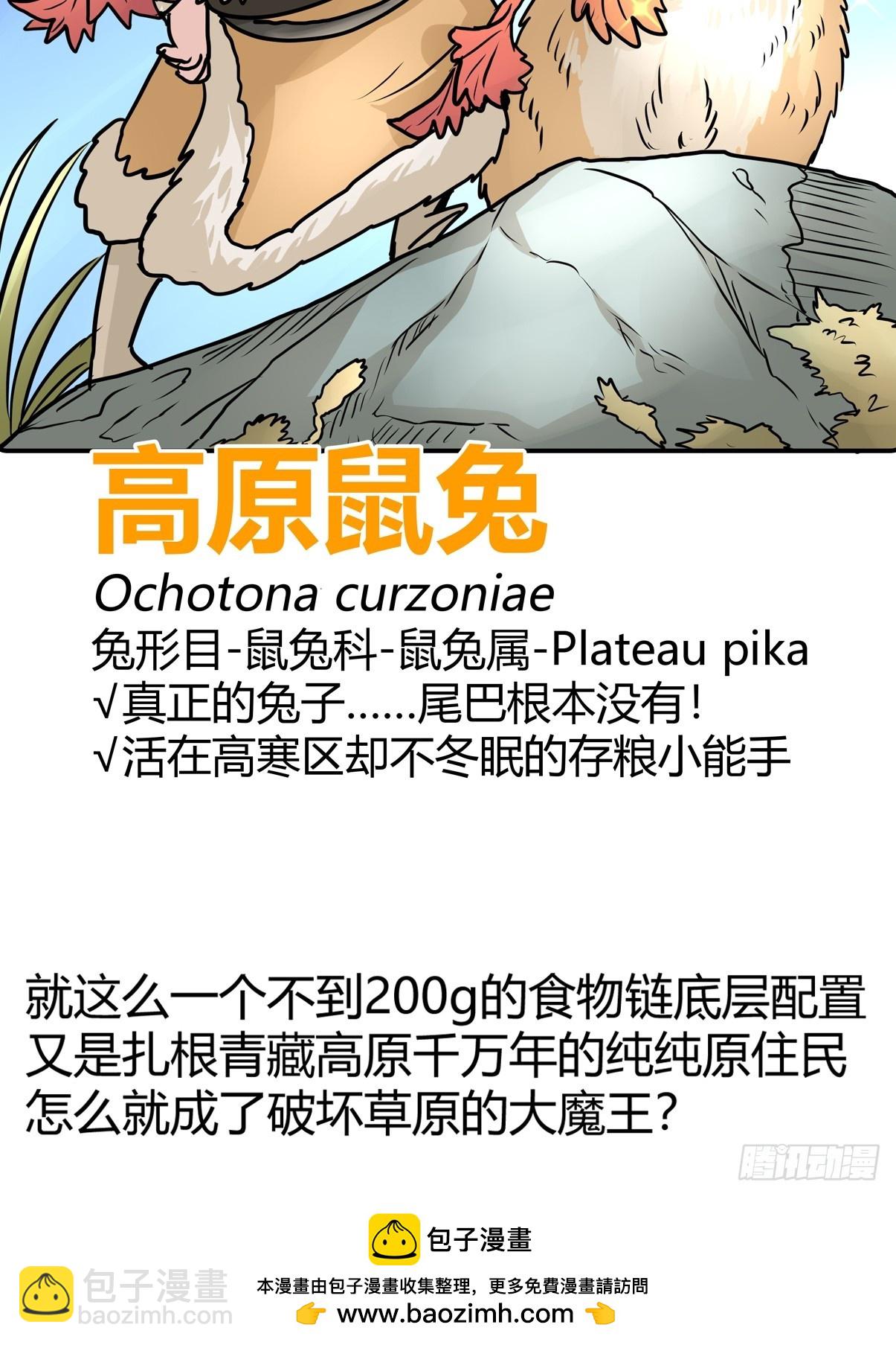 十日谈25：兔年说兔&middot;2(1/2)-第317话