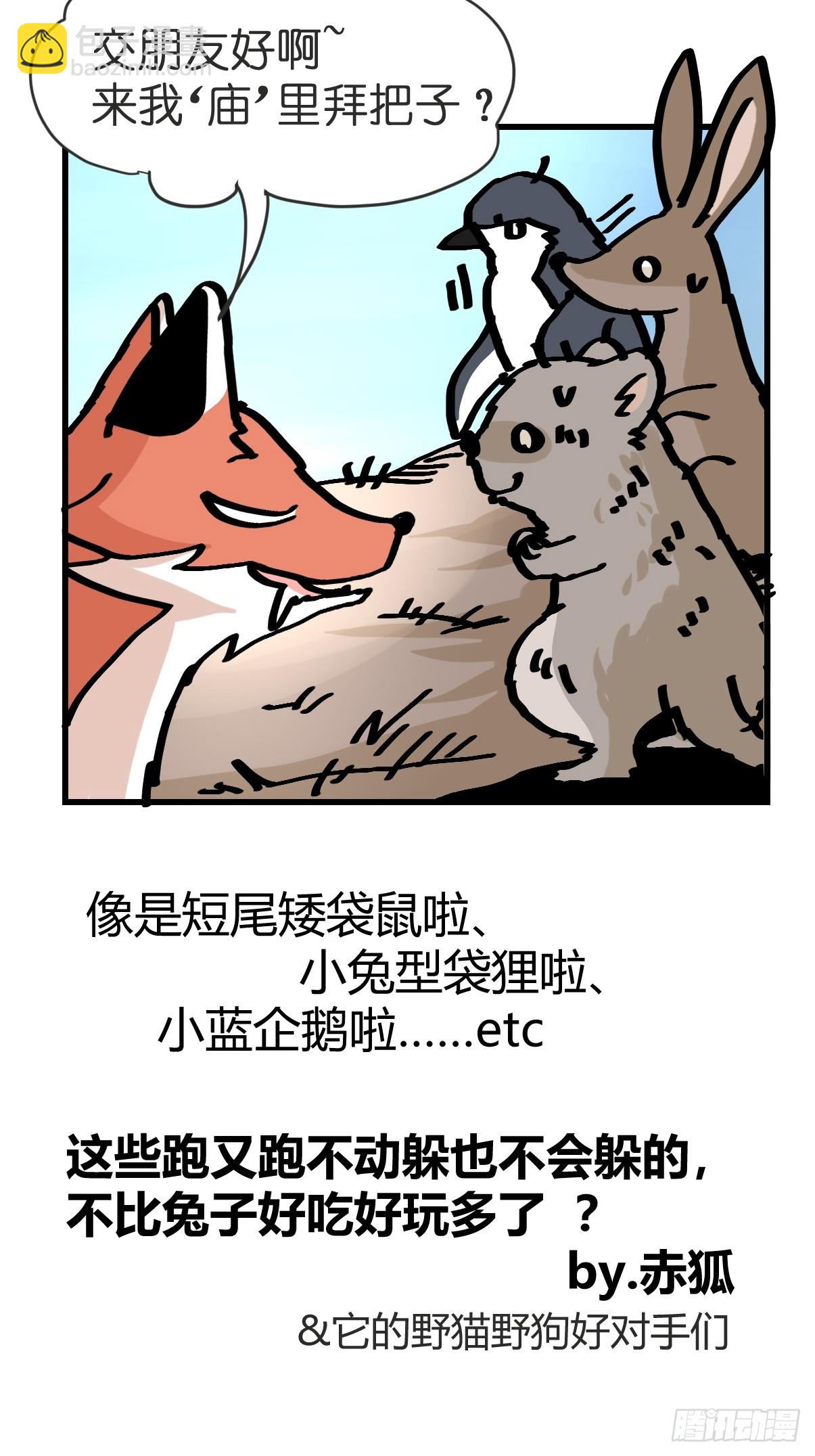 十日谈25：兔年说兔&middot;2(1/2)-第317话