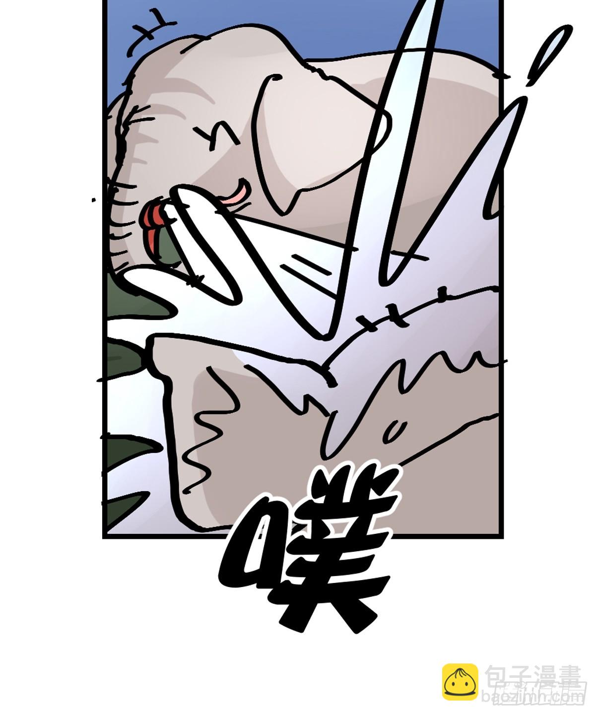 十日谈27：象往何方①(1/2)-第319话