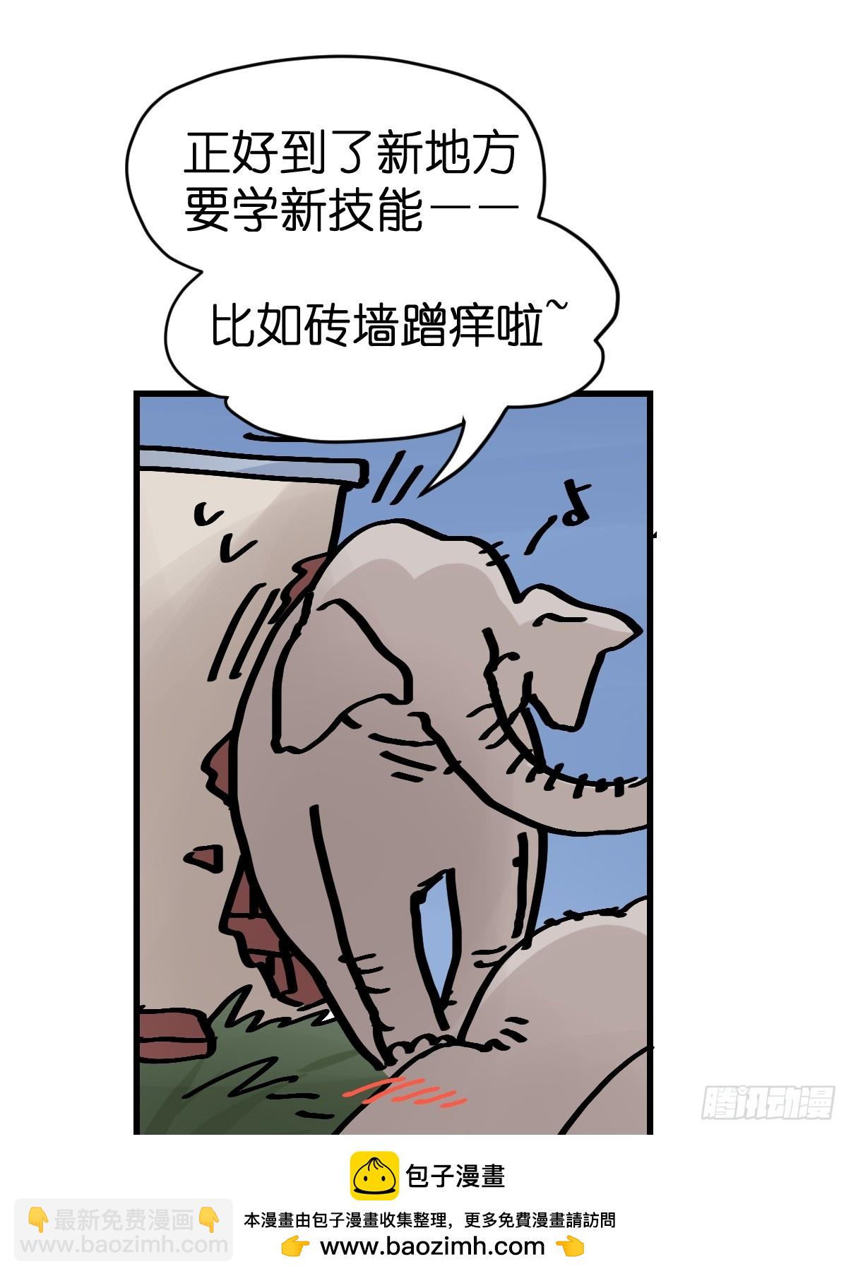 十日谈27：象往何方①(1/2)-第319话