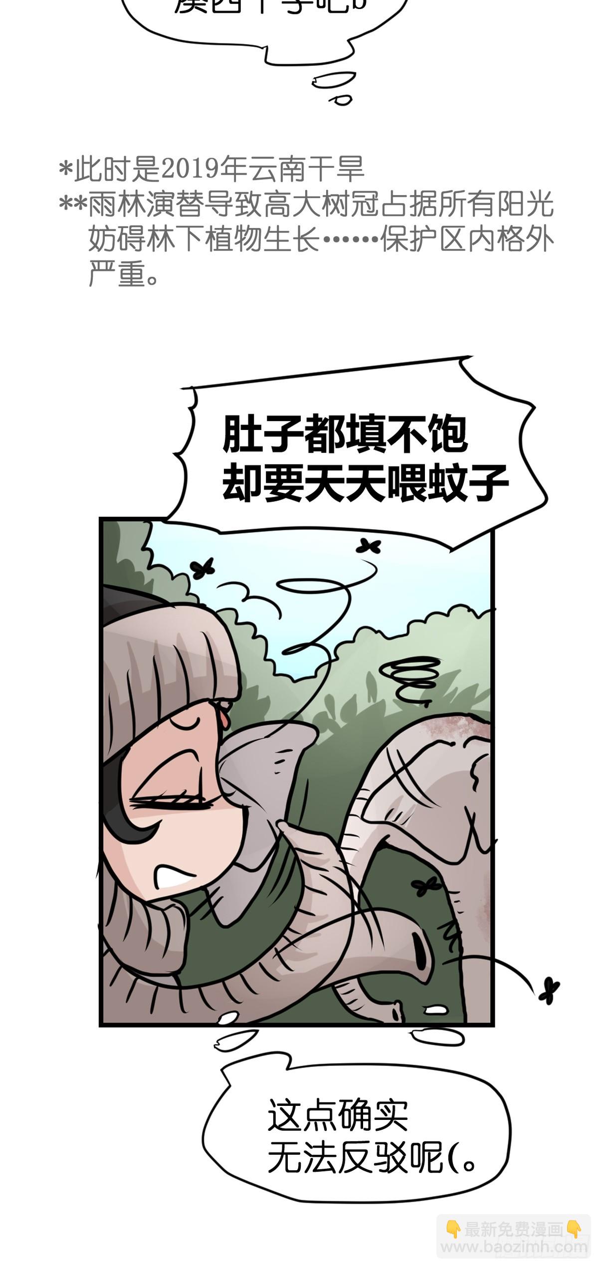 十日谈27：象往何方①(1/2)-第319话