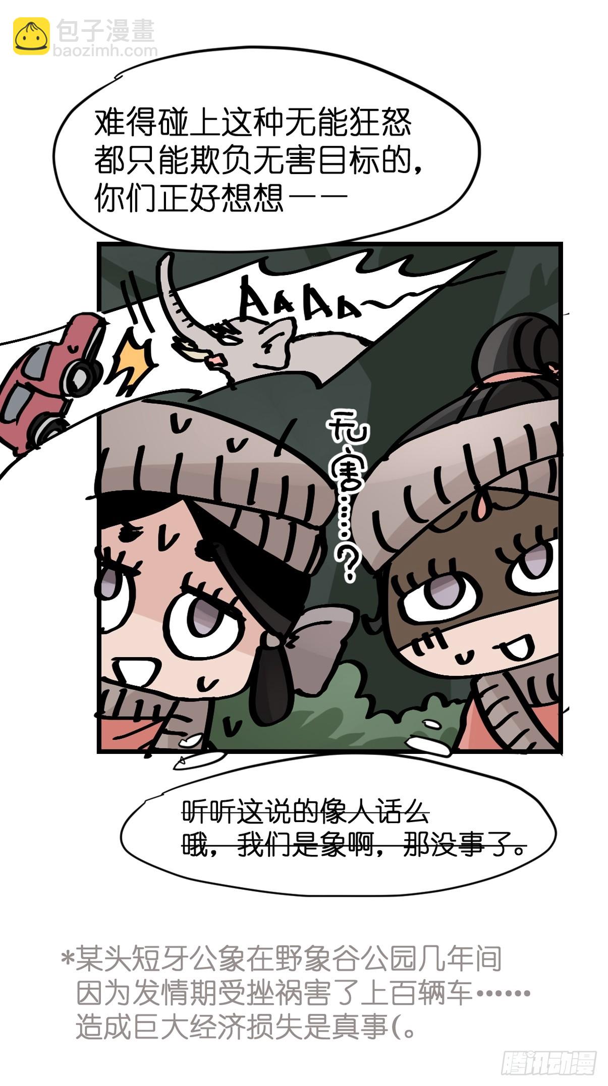十日谈29：象往何方③(1/2)-第321话