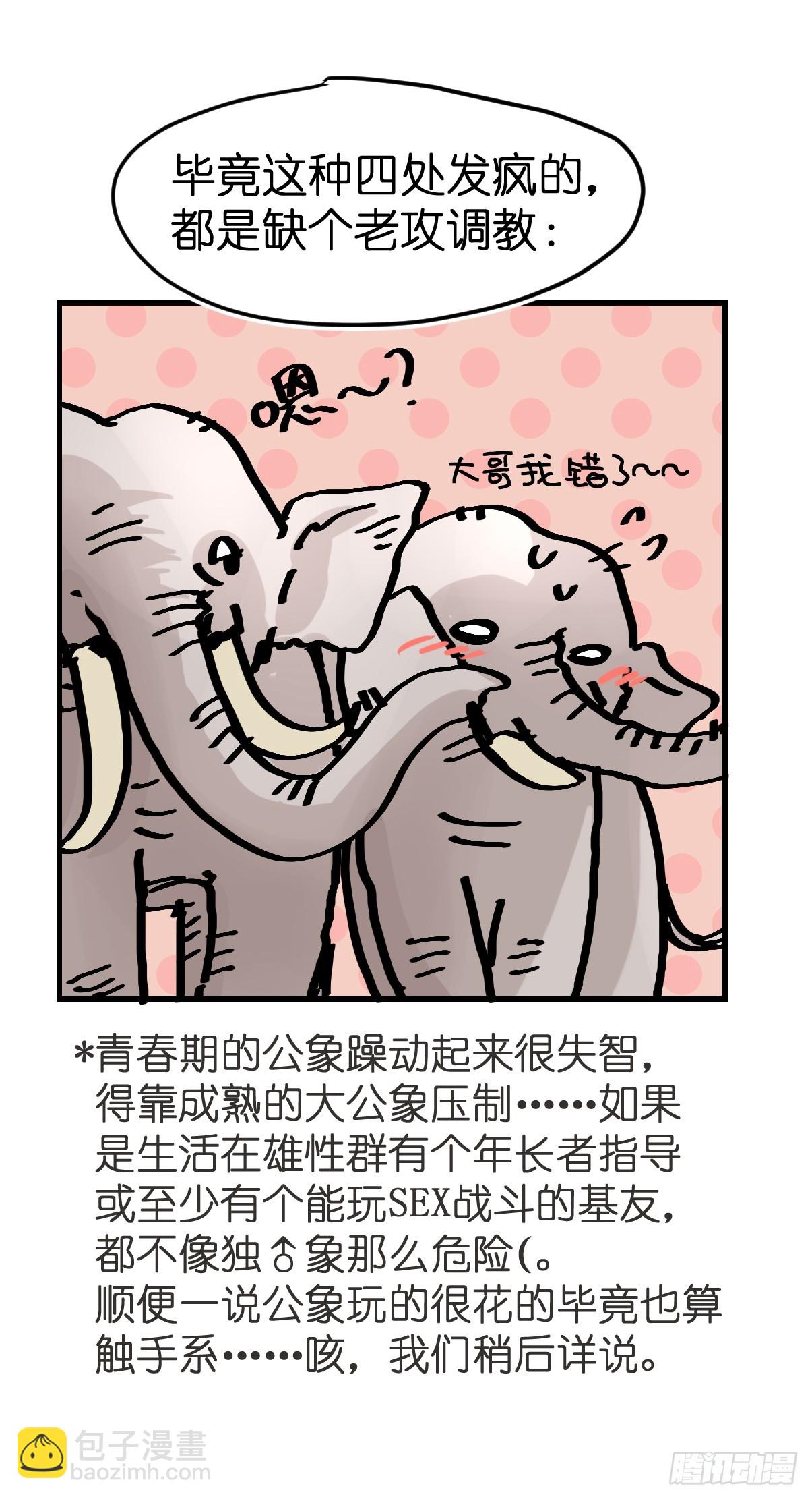 十日谈29：象往何方③(1/2)-第321话