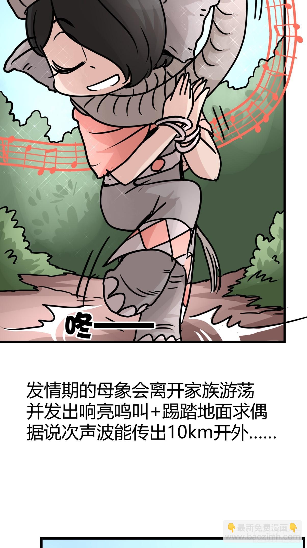 十日谈29：象往何方③(1/2)-第321话