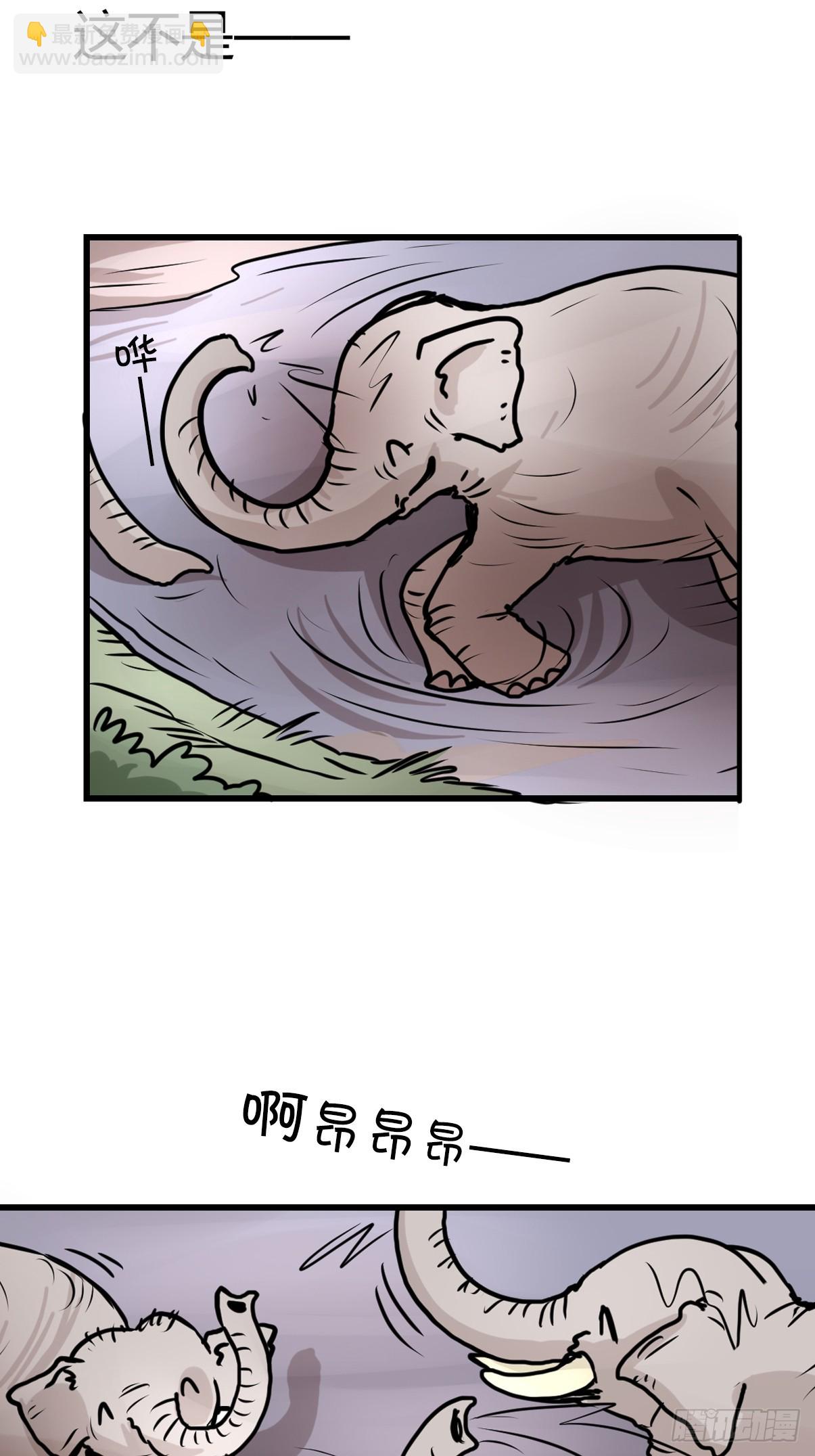 十日谈31：象往何方⑤(1/2)-第323话