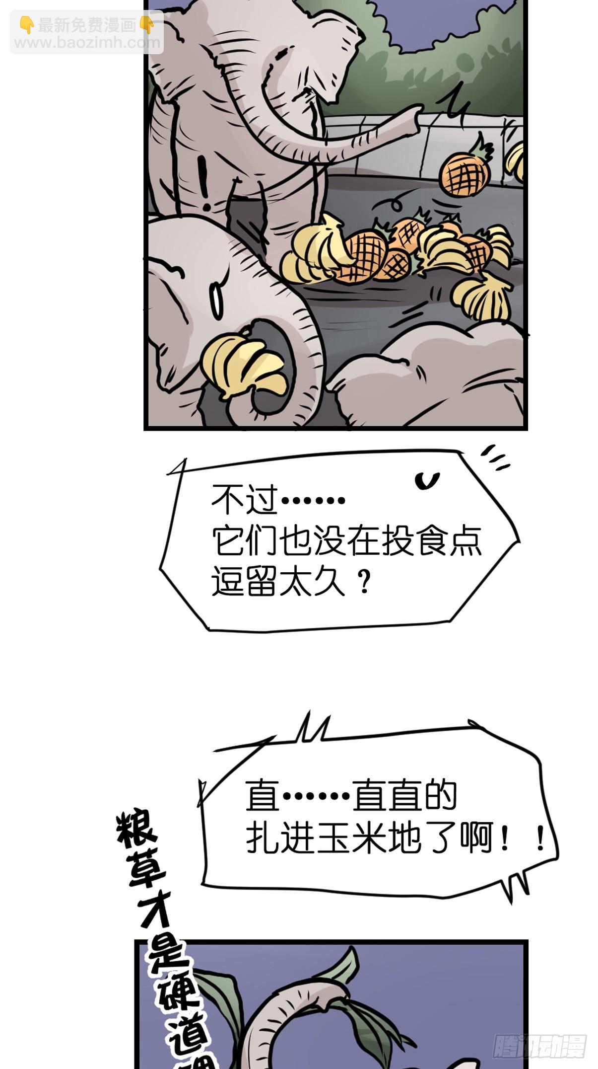 十日谈33：象往何方⑦(1/2)-第325话