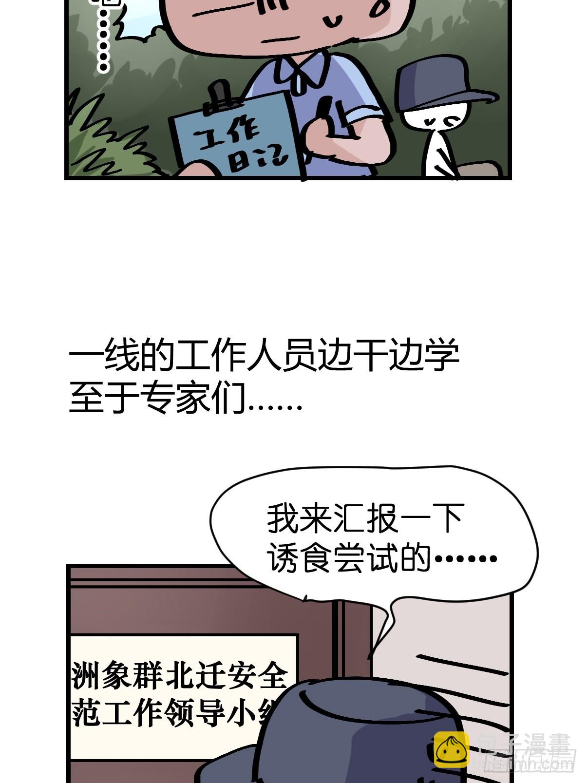 十日谈33：象往何方⑦(1/2)-第325话