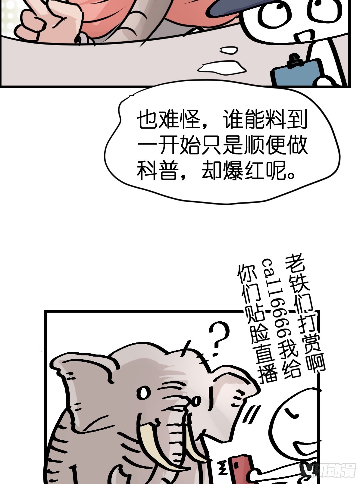 十日谈33：象往何方⑦(1/2)-第325话