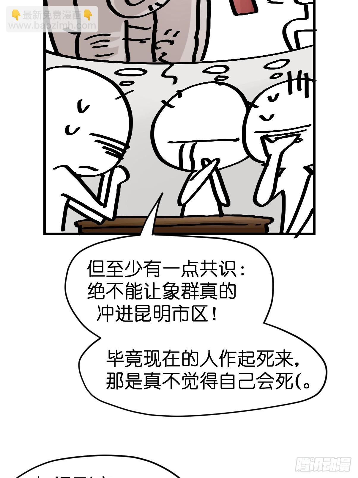 十日谈33：象往何方⑦(1/2)-第325话