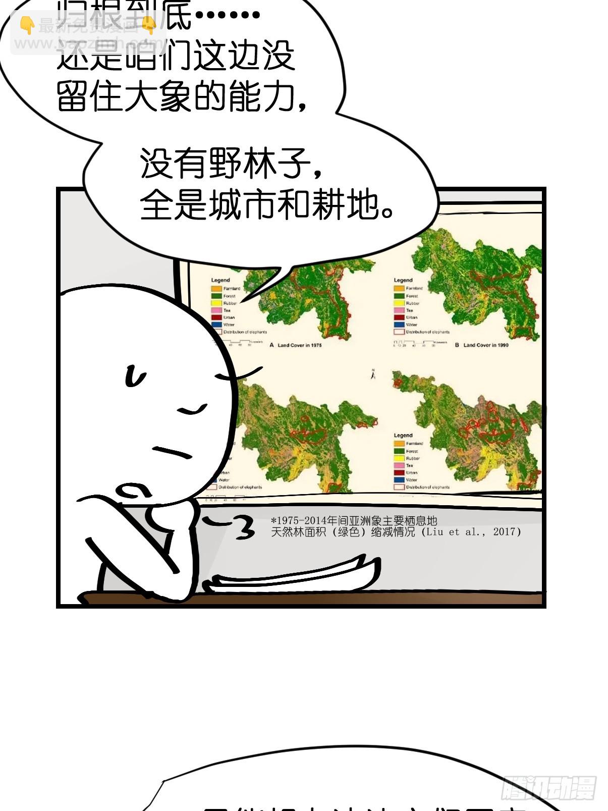 十日谈33：象往何方⑦(1/2)-第325话