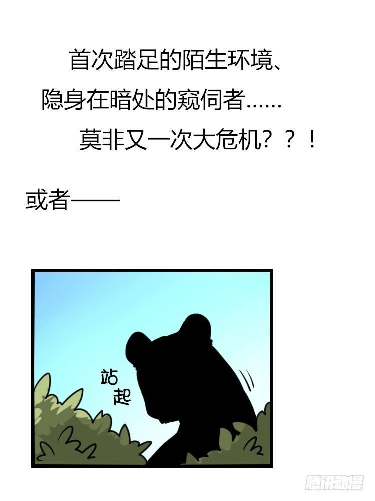 是这样的狮JI王？！-12-第37话
