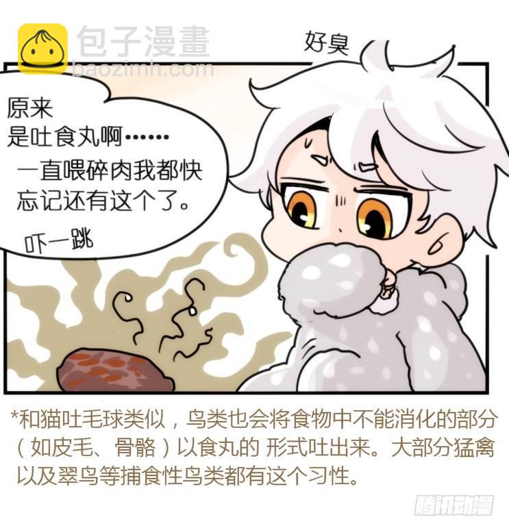 飞吧小少爷：网红风波&middot;上-第5话