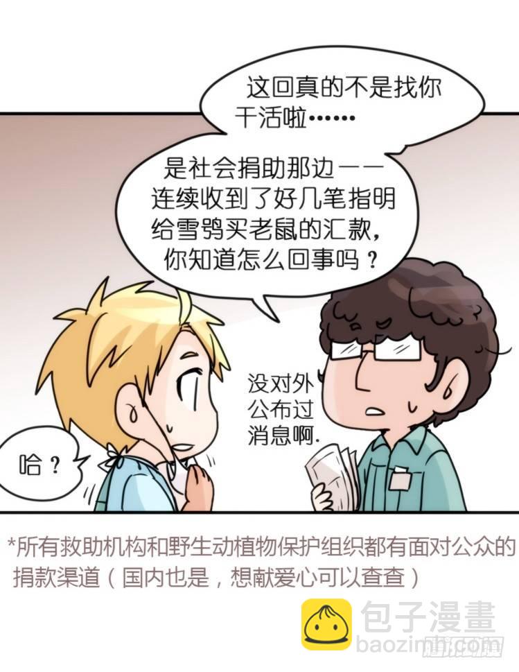 飞吧小少爷：网红风波&middot;上-第5话