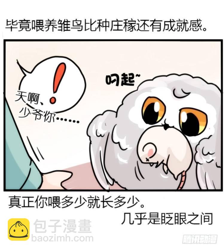 飞吧小少爷：网红风波&middot;上-第5话