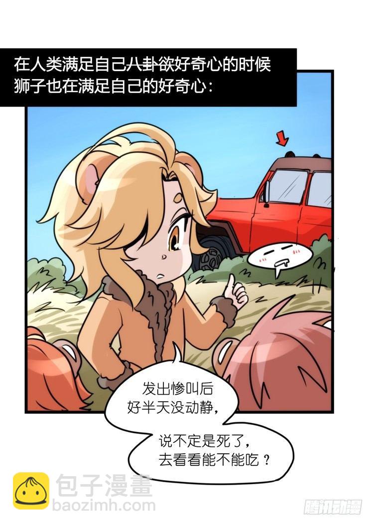 是这样的狮JI王？！-16-第41话