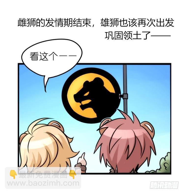 是这样的狮JI王？！-16-第41话