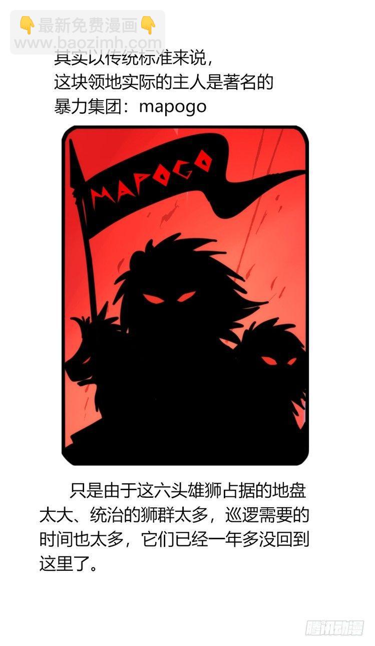 是这样的狮JI王？！-16-第41话