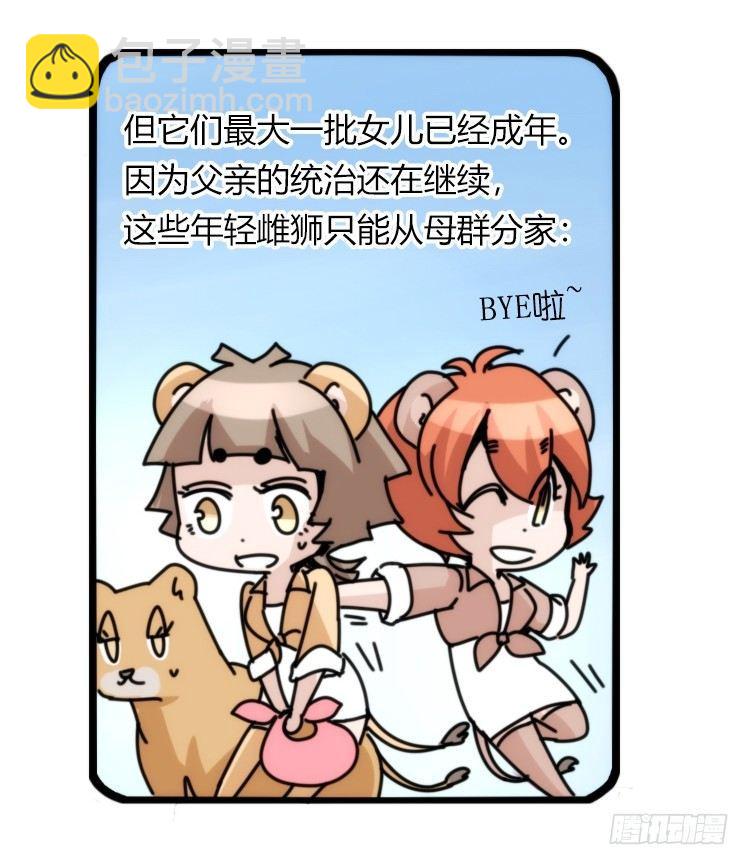 是这样的狮JI王？！-16-第41话