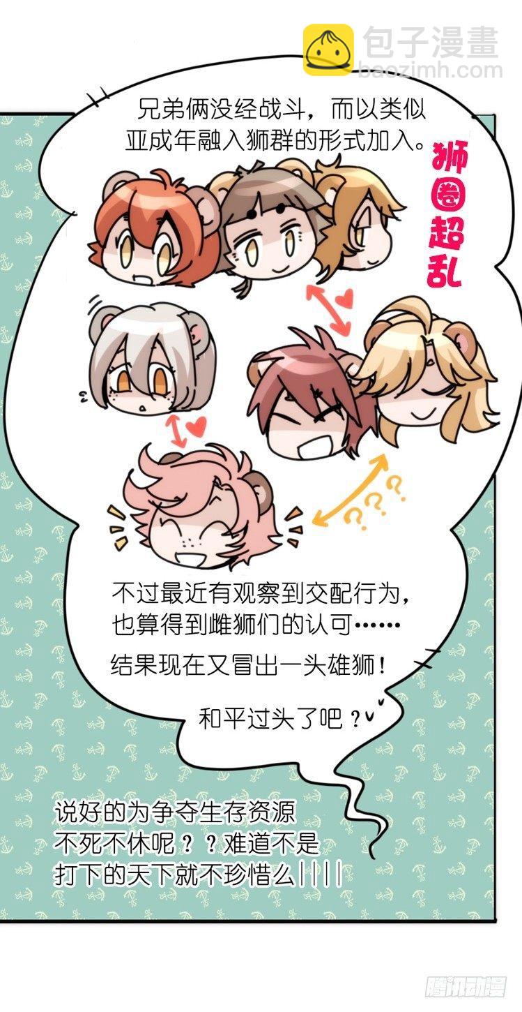 是这样的狮JI王？！-16-第41话