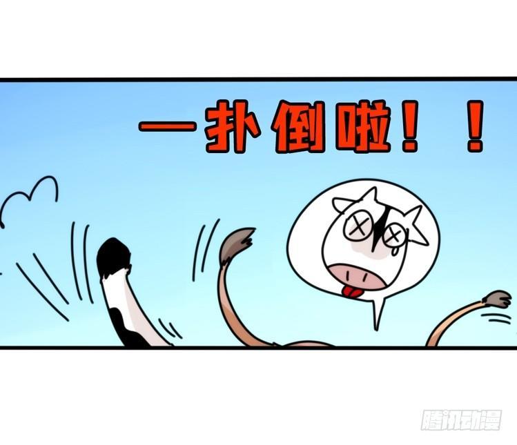 是这样的狮JI王？！-18-第43话