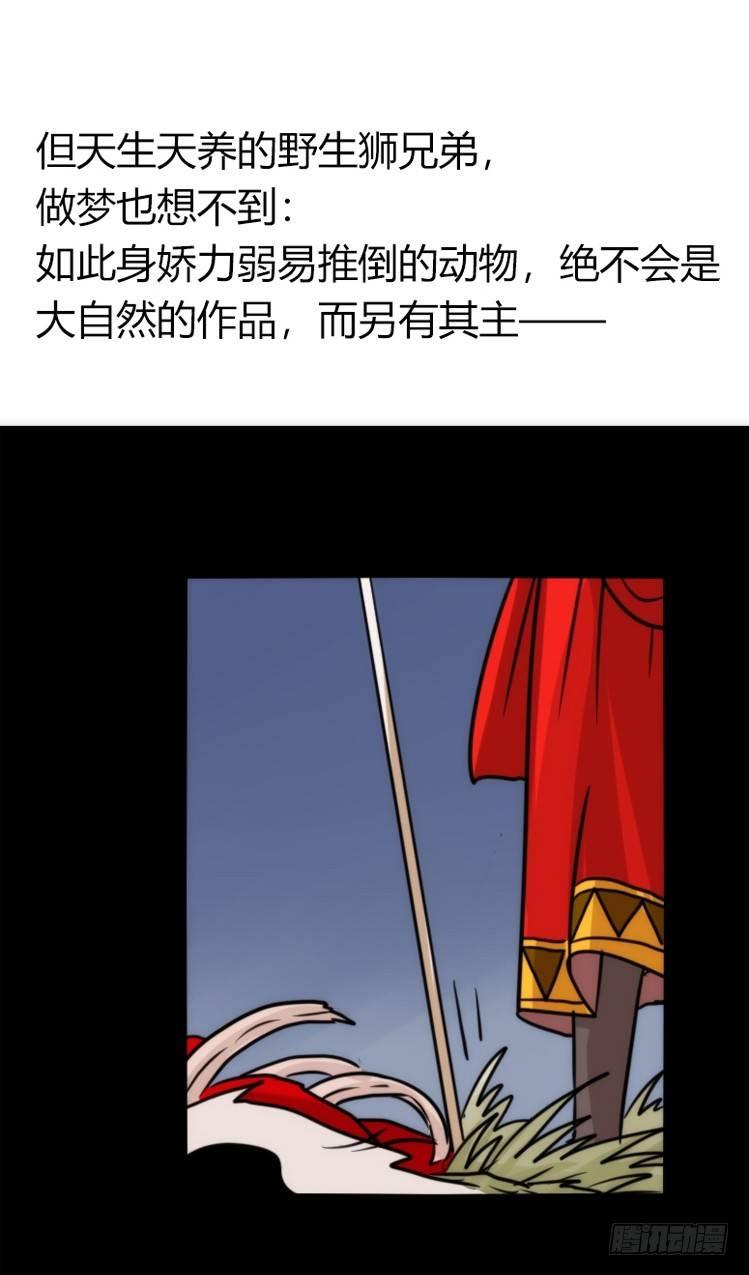 是这样的狮JI王？！-18-第43话