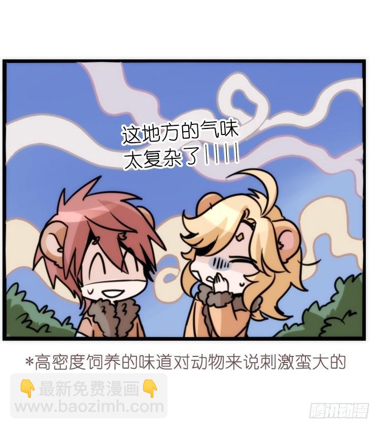 是这样的狮JI王？！-20-第45话