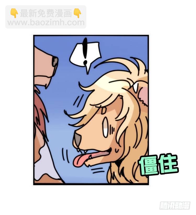 是这样的狮JI王？！-20-第45话