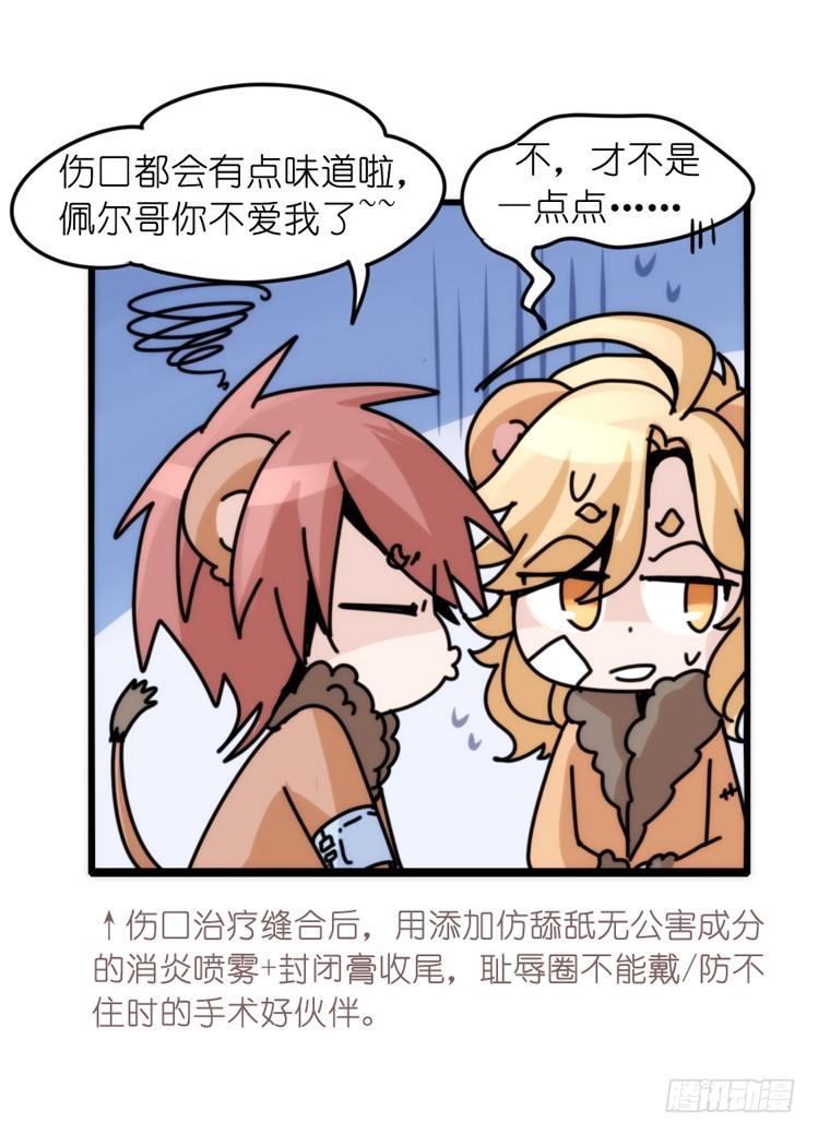 是这样的狮JI王？！-20-第45话