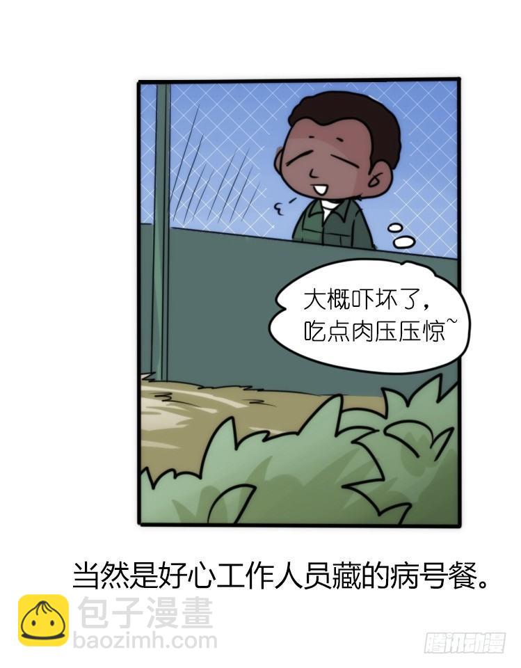 是这样的狮JI王？！-20-第45话