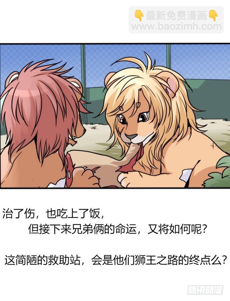 是这样的狮JI王？！-20-第45话