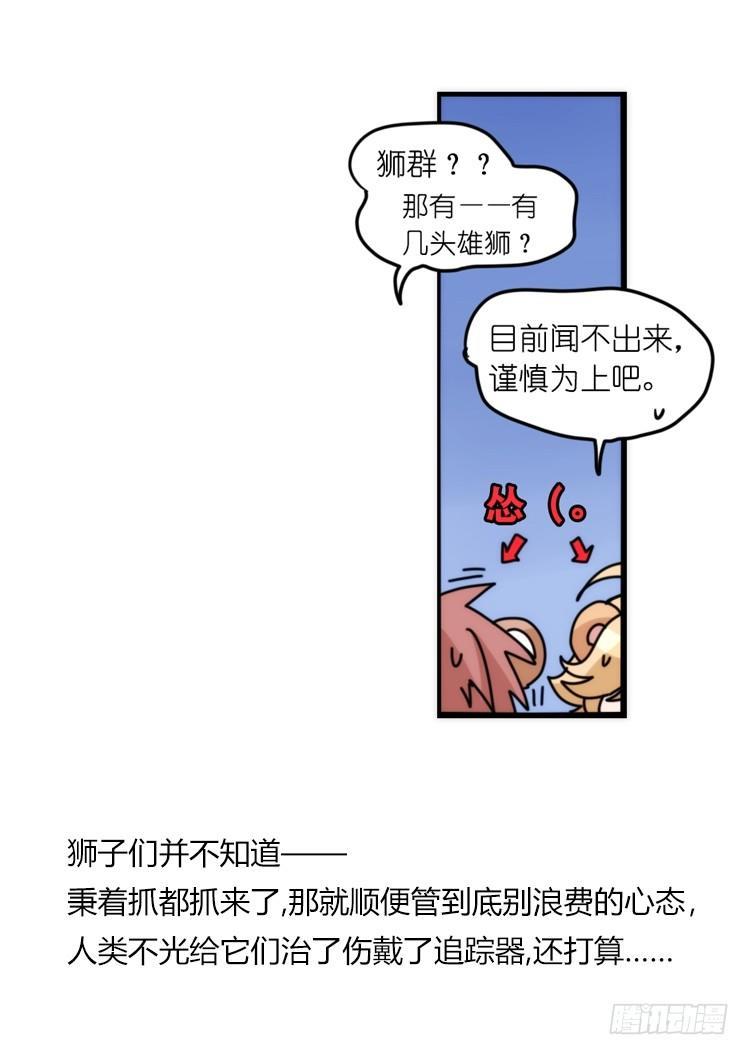 是这样的狮JI王？！-22-第47话