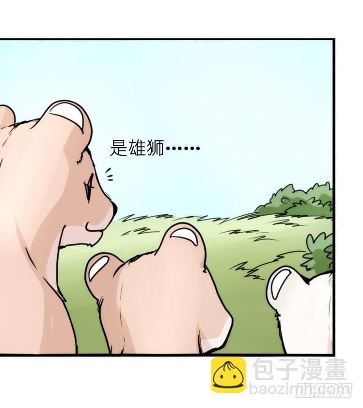 是这样的狮JI王？！-22-第47话