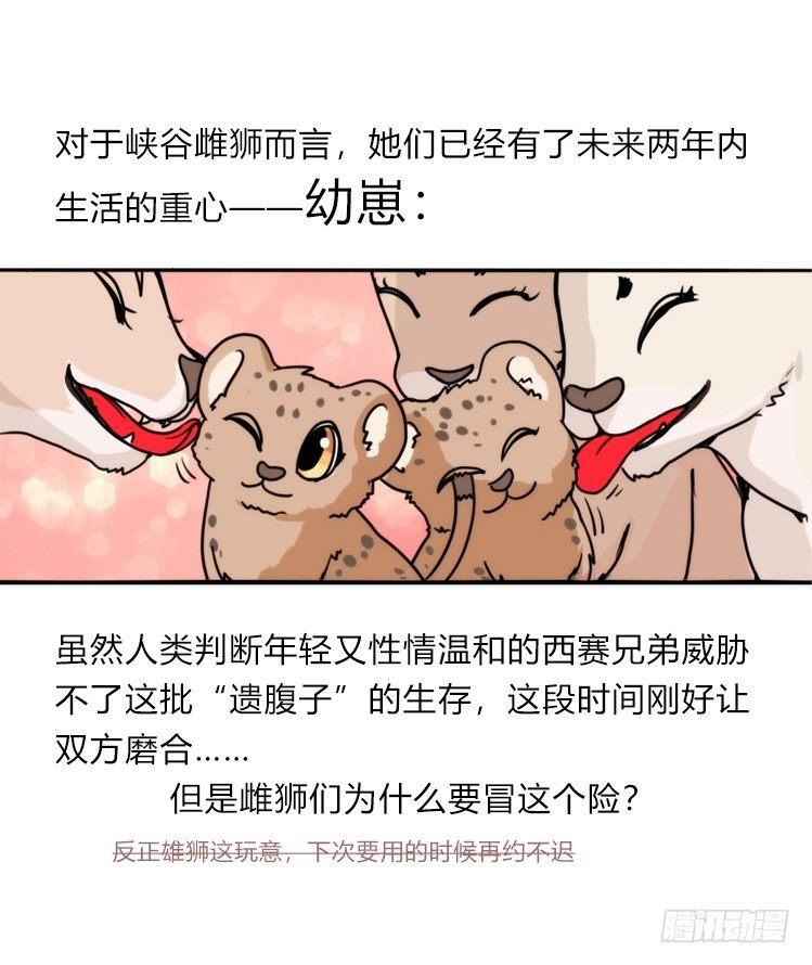 是这样的狮JI王？！-22-第47话