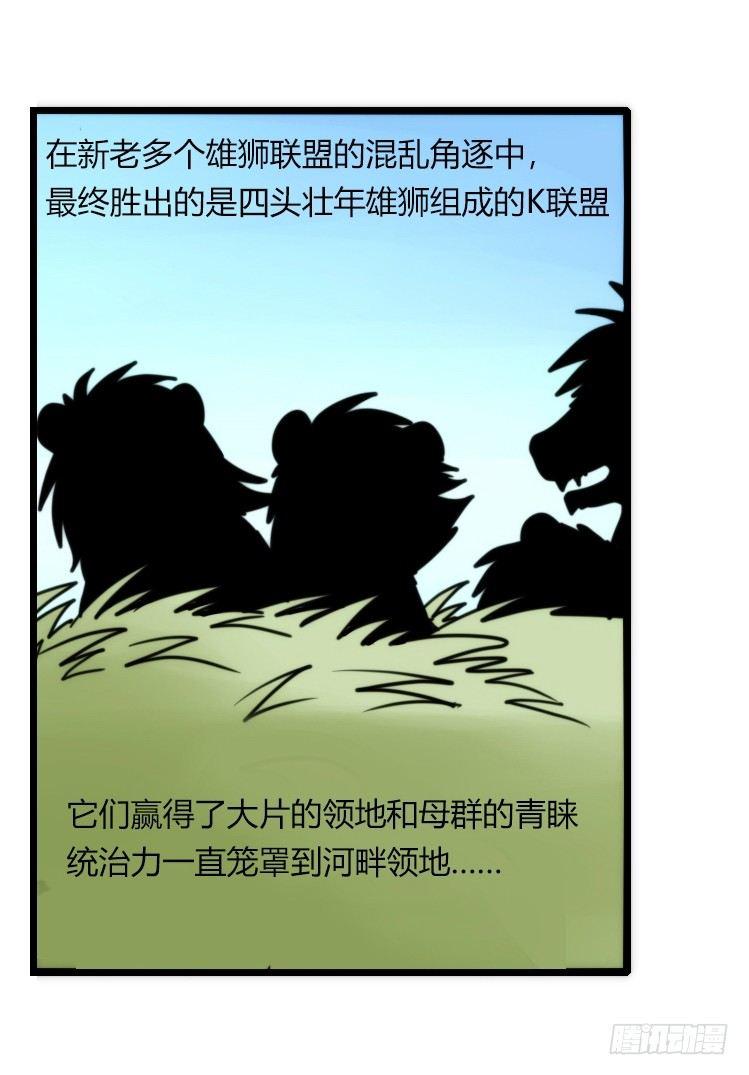 是这样的狮JI王？！-22-第47话