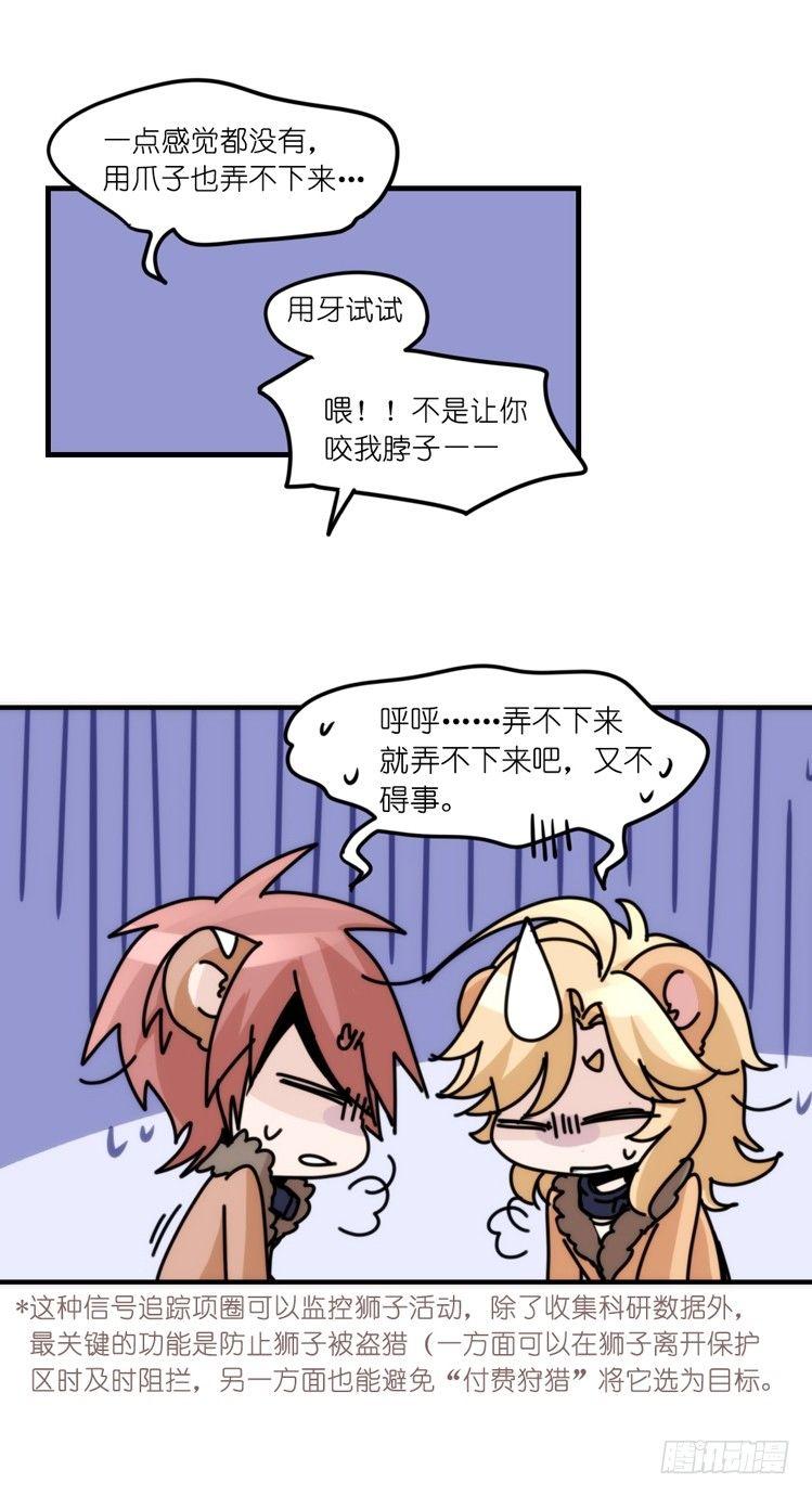 是这样的狮JI王？！-22-第47话