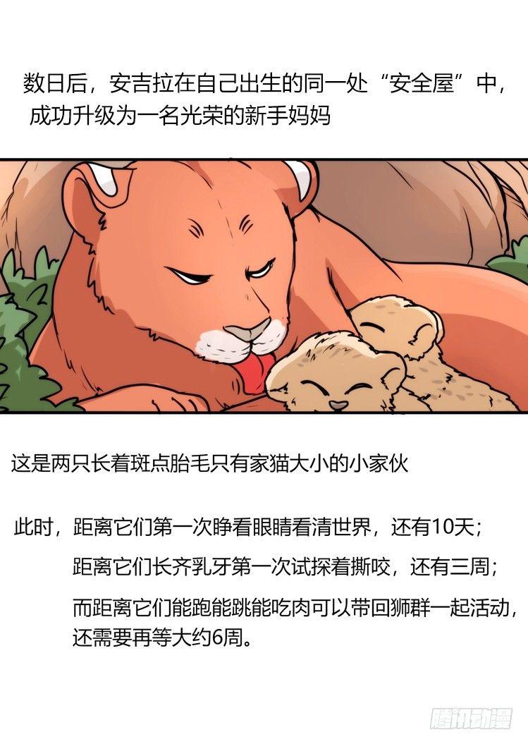 是这样的狮JI王？！-24-第49话