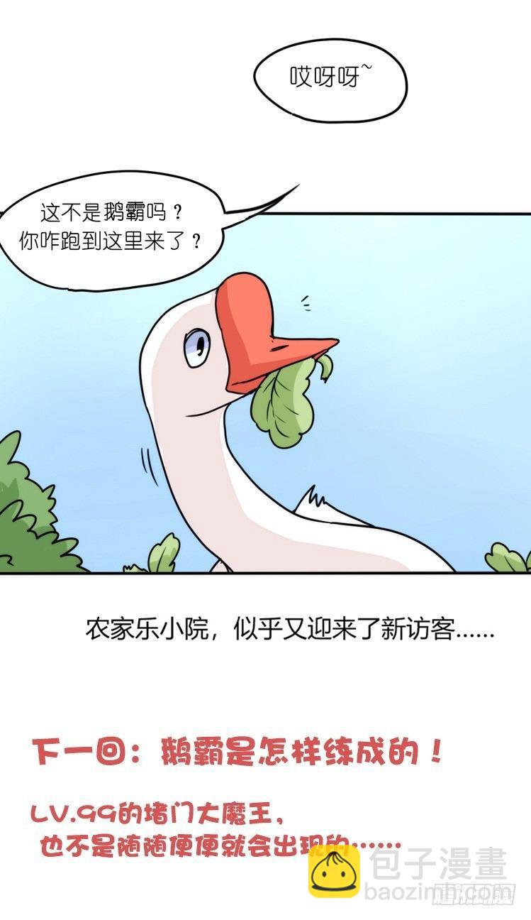 家有鹅霸：内有猛&hellip;&hellip;-第51话