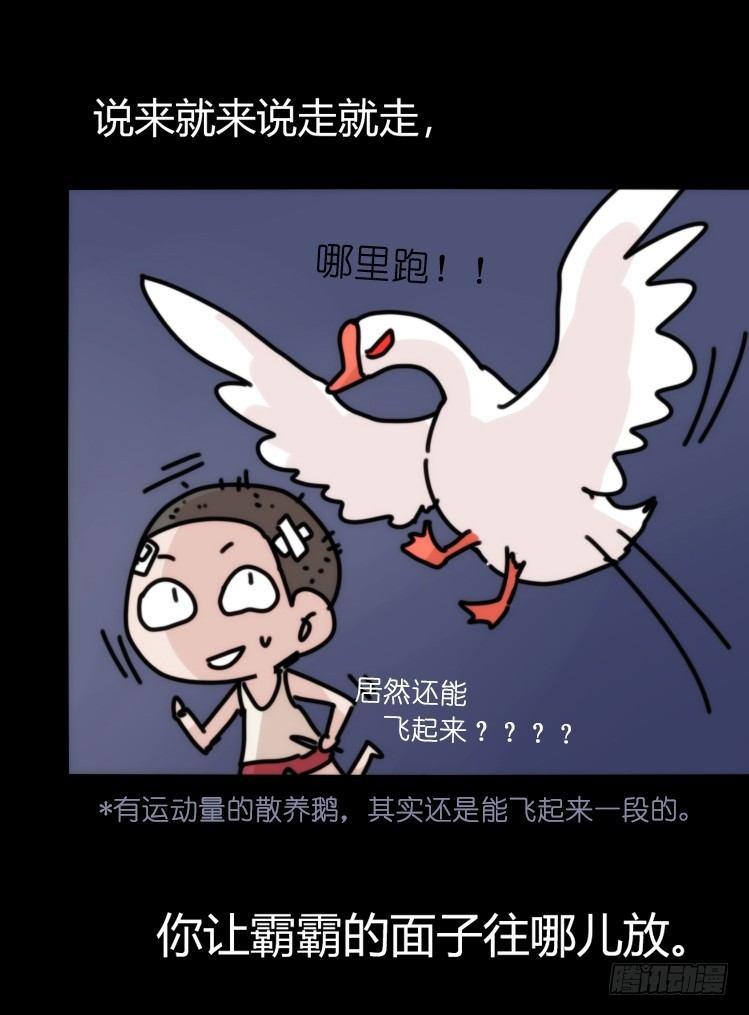 家有鹅霸：救命之恩，当&hellip;&hellip;-第53话