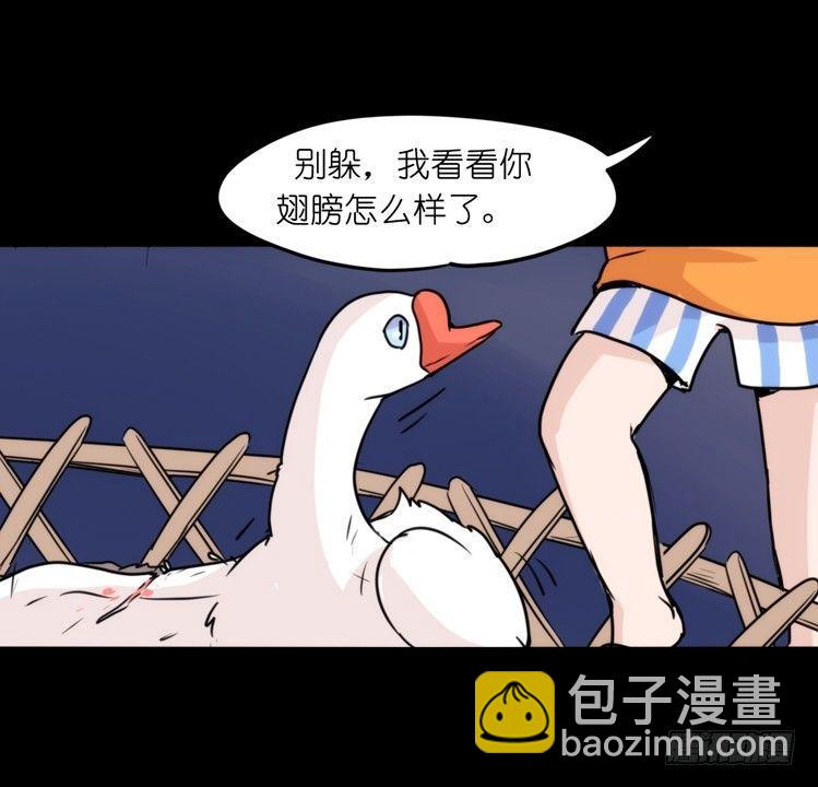 家有鹅霸：救命之恩，当&hellip;&hellip;-第53话