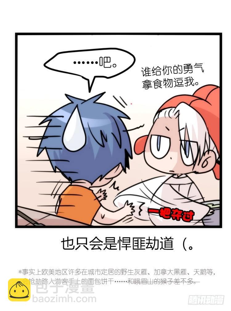 家有鹅霸：就是这样的霸霸！-第55话