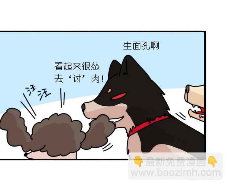 家有鹅霸：就是这样的霸霸！-第55话