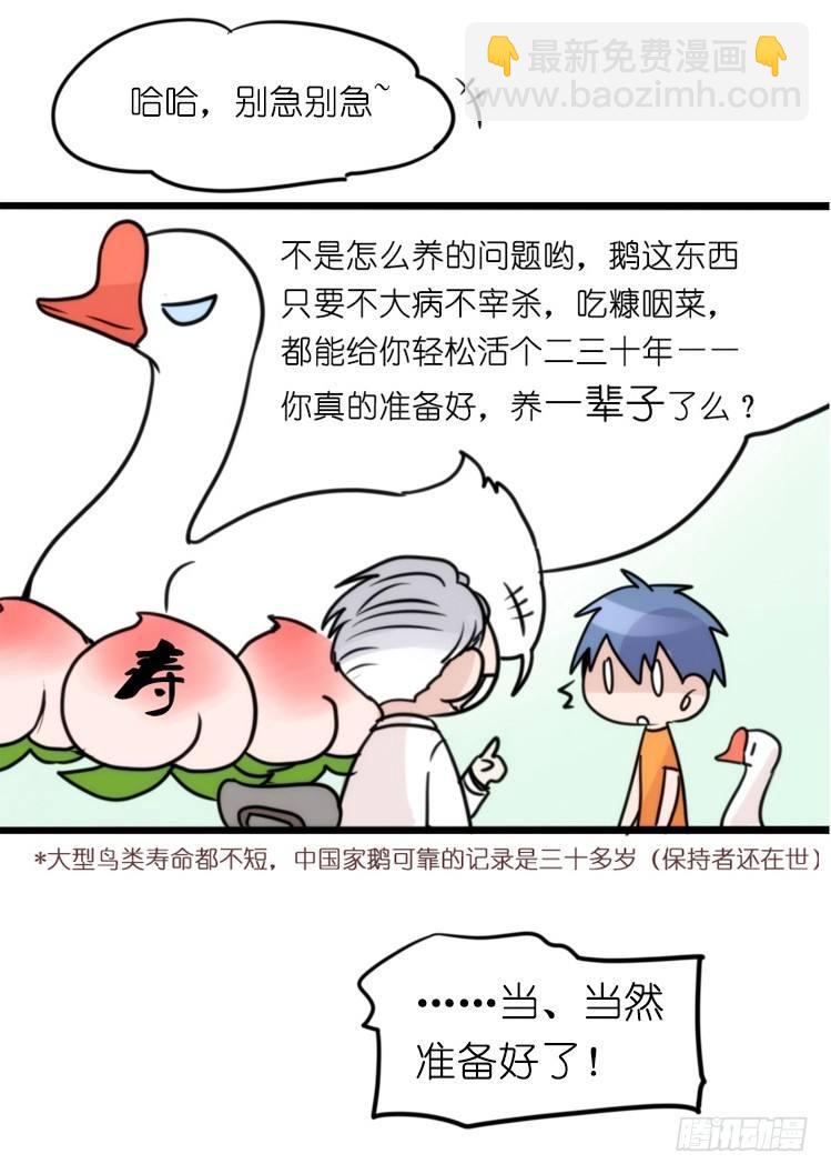 家有鹅霸：就是这样的霸霸！-第55话