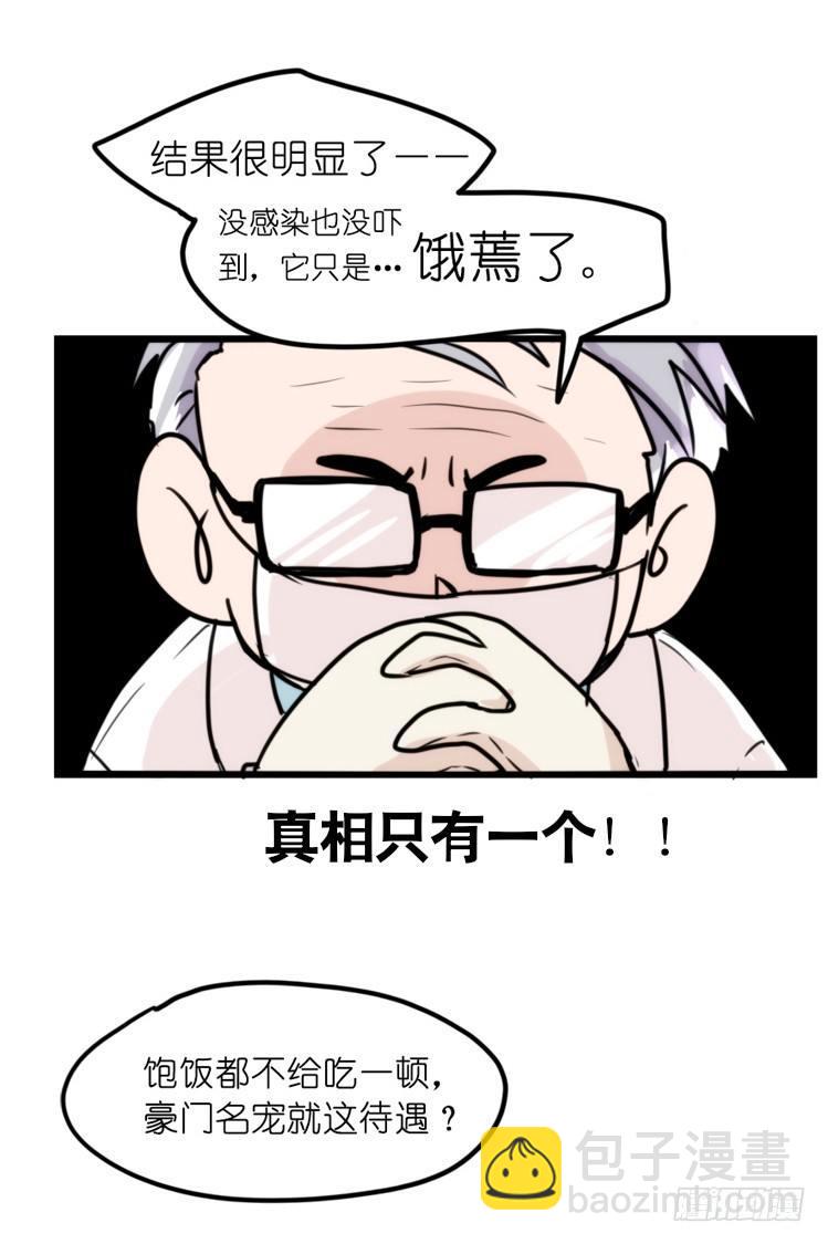 家有鹅霸：就是这样的霸霸！-第55话