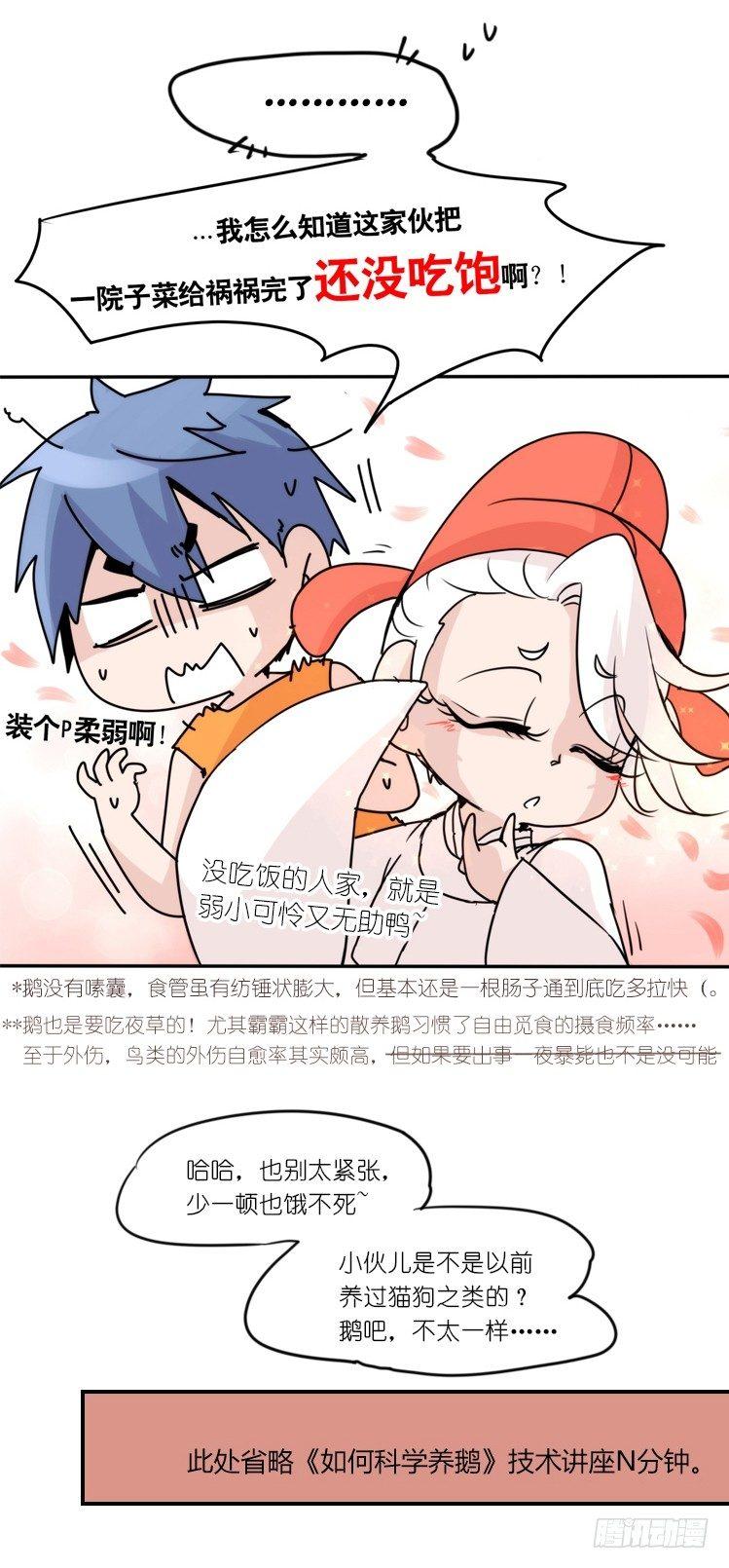 家有鹅霸：就是这样的霸霸！-第55话