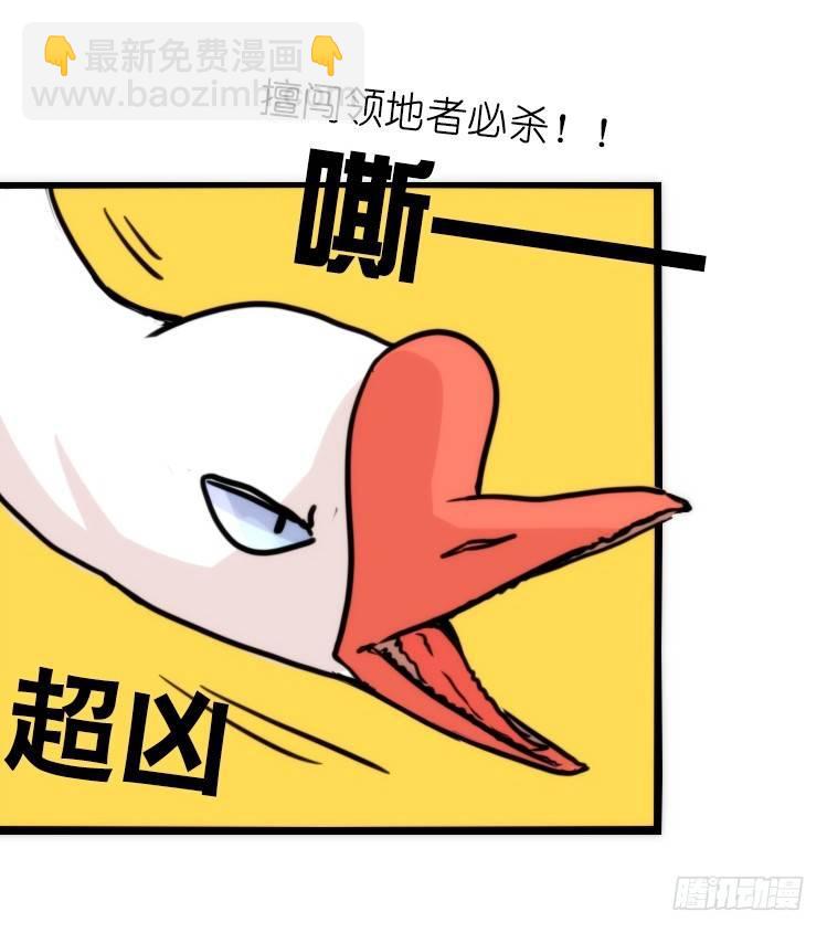 家有鹅霸：信霸霸，得&hellip;&hellip;-第57话