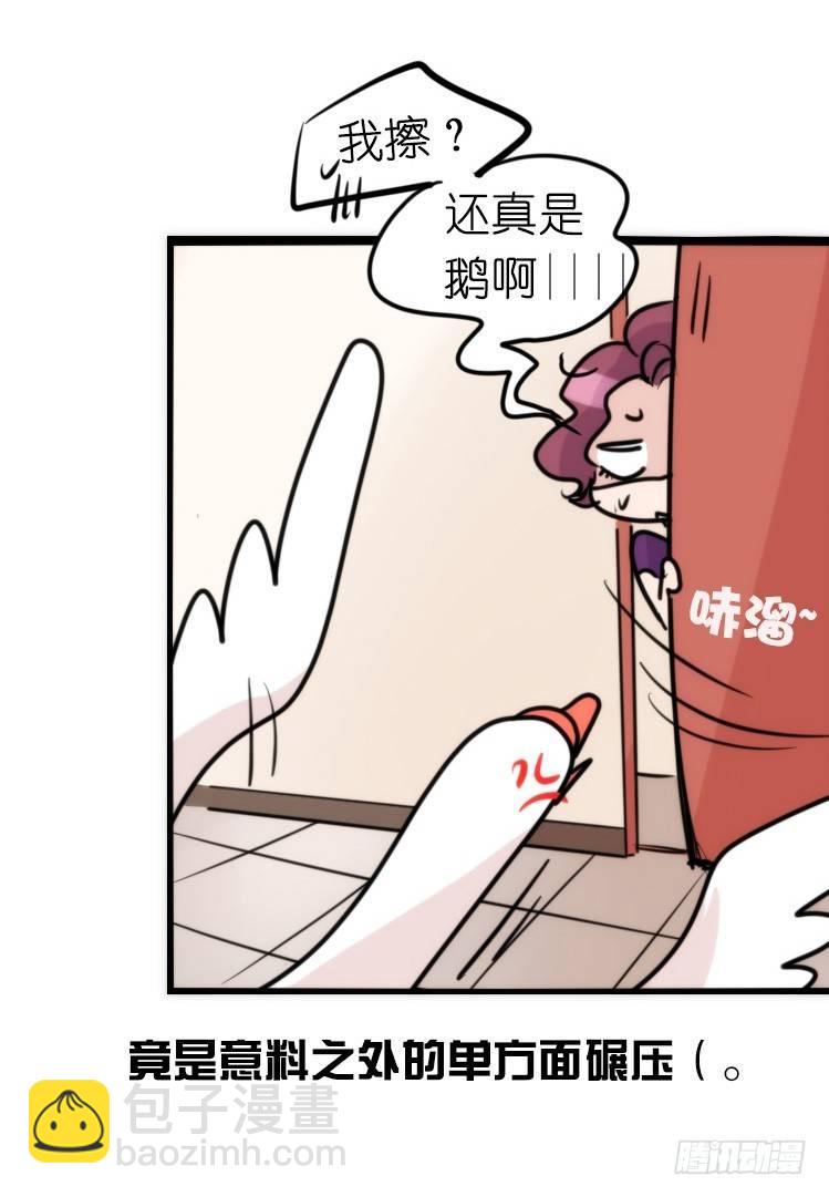 家有鹅霸：信霸霸，得&hellip;&hellip;-第57话