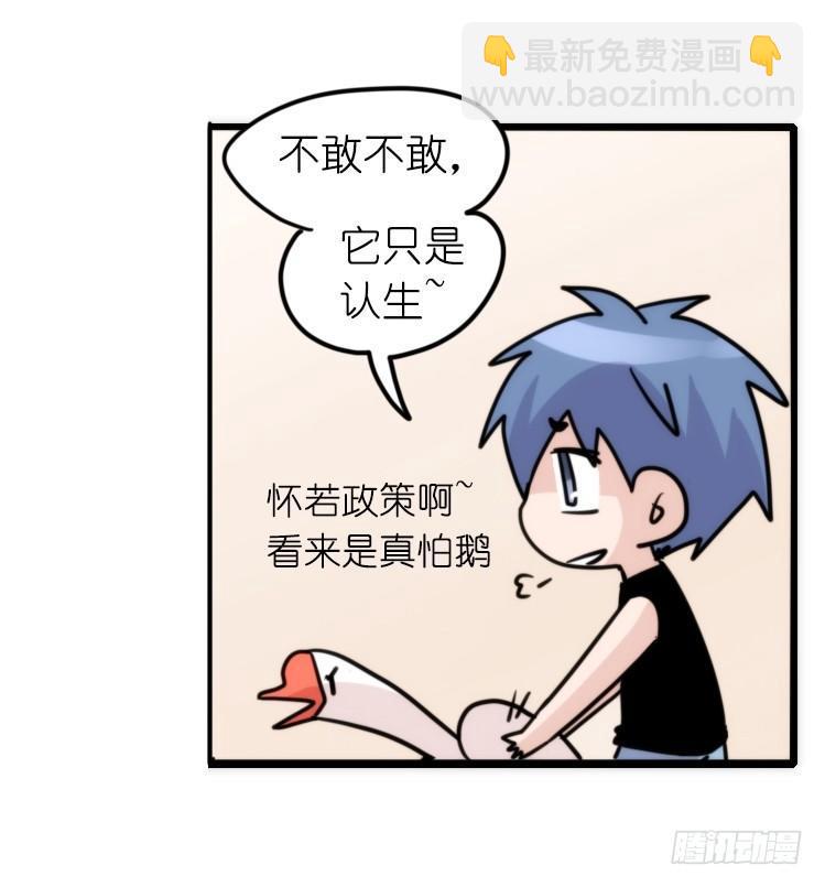 家有鹅霸：信霸霸，得&hellip;&hellip;-第57话
