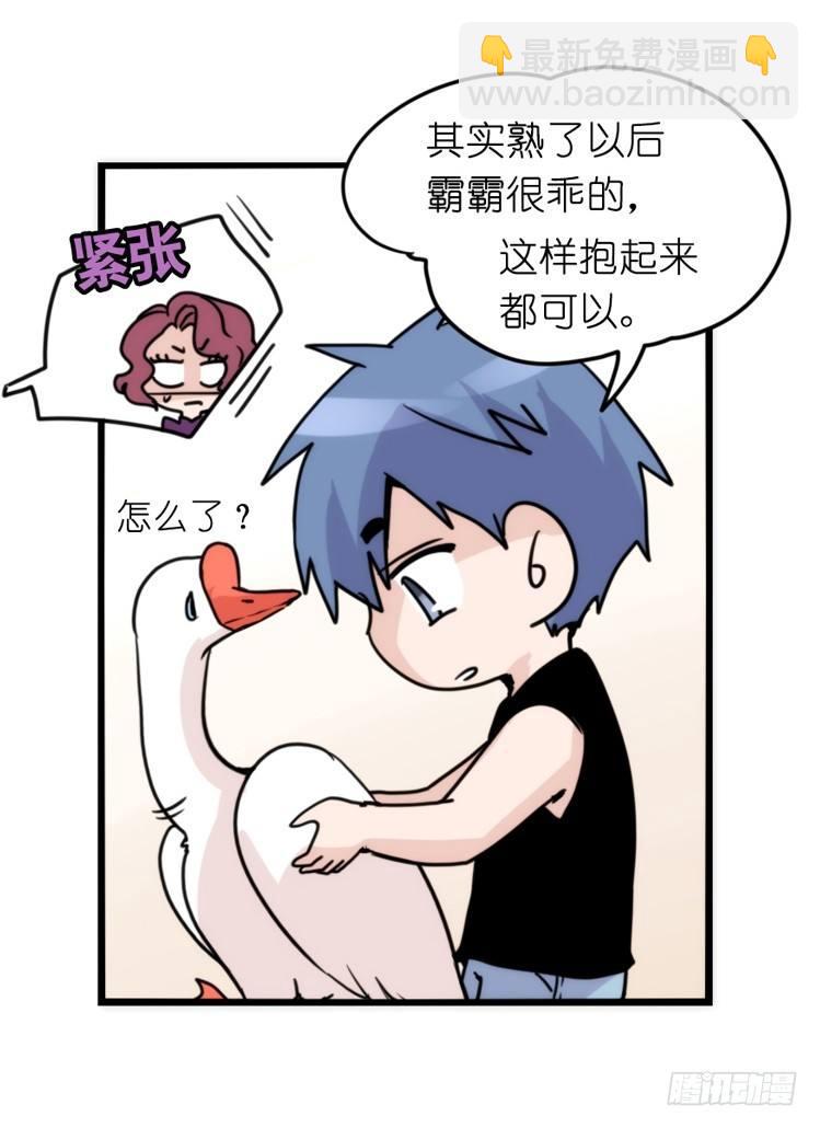 家有鹅霸：信霸霸，得&hellip;&hellip;-第57话